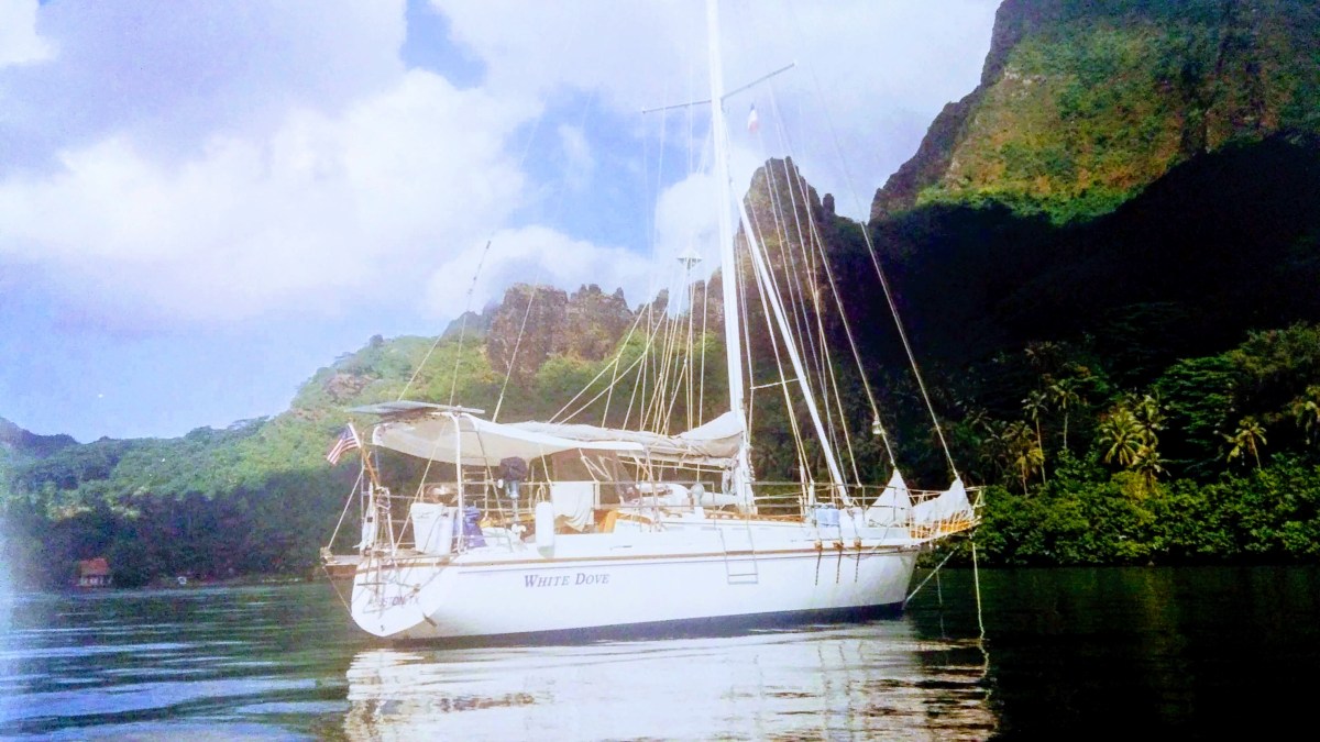 The Heart of&nbsp;Paradise