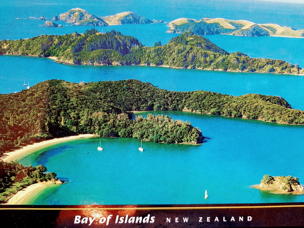 New Zealand #1—Hearts of&nbsp;Gold