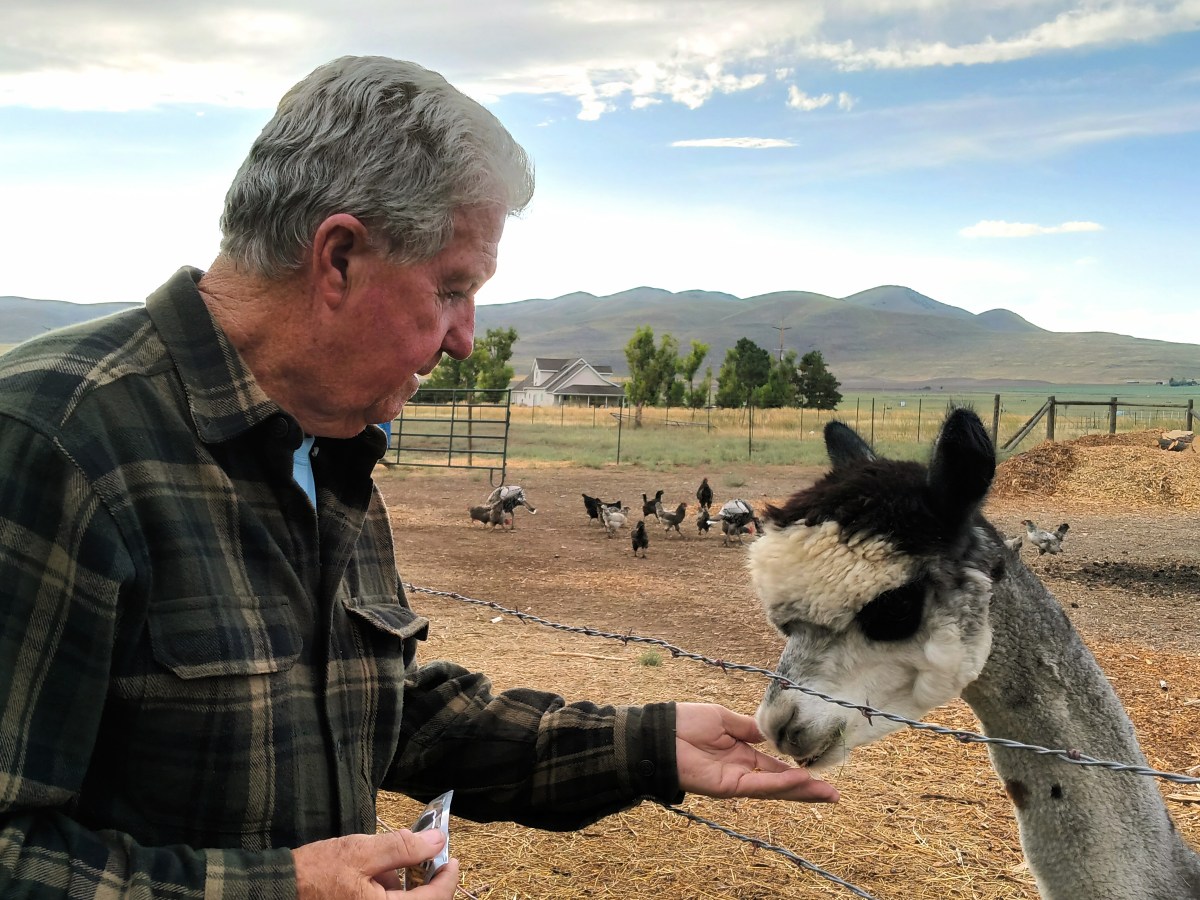 Hoodoos, Arches, &&nbsp;More