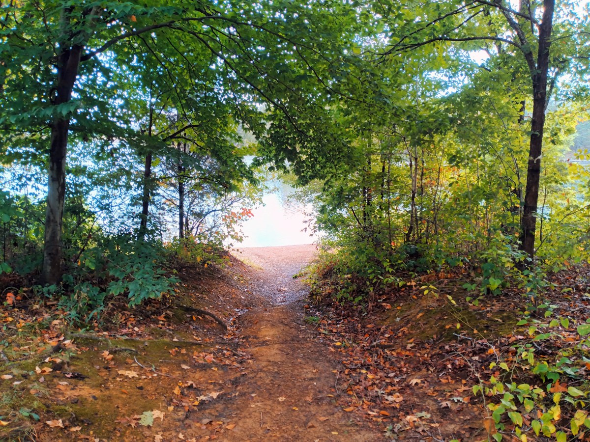 The Path of&nbsp;Life